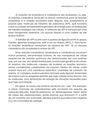 Metabolismo microbiano 63
As reações de anabolismo e catabolismo são acopladas, ou seja,
as reações catabólicas fornecem os blocos construtivos para as reações
anabólicas e a energia necessária para dirigi-las. Esse acoplamento é
possível pela molécula de trifosfato de adenosina (ATP), que funciona
como a unidade armazenadora/geradora de energia para as realizações
de trabalho biológico nas células. A molécula de ATP é formada por uma
base nitrogenada (adenina), um açúcar (ribose) e uma cadeia de três
grupos fosfatos.
A hidrólise do ATP ocorre com a quebra da ligação entre os grupos
fosfatos, gerando energia livre, ADP e um íon fosfato (HPO4
-2
). Para tanto,
as reações anabólicas necessitam da quebra do ATP. Já as reações
catabólicas são acopladas à síntese do ATP.
Estas reações metabólicas (anabolismo e catabolismo) envolvem
muitas proteínas, denominadas enzimas. As vias metabólicas da célula
(sequências de reações químicas) são determinadas por suas enzimas
que, por sua vez, são determinadas pela constituição genética da célula.
As enzimas são moléculas capazes de acelerar as reações químicas,
sendo consideradas catalizadores de reações. Dentro da célula, cada
enzima atua em uma substância específica, chamada de substrato da
enzima. O complexo enzima-substrato formado pela ligação temporária
da enzima com os reagentes permite que haja colisões entre átomos, íons
ou moléculas, com diminuição da energia de ativação necessária para
que haja uma reação.
Em geral, os nomes das enzimas terminam em “ase”. Por exemplo,
a classe chamada de oxidorredutase está envolvida nas reações de
oxidação-redução. Especificadamente, as desidrogenases fazem parte
da classe das oxidorredutases, sendo enzimas que removem H+
a partir
de um substrato; por outro lado, aquelas enzimas que adicionam oxigênio
(O2
) são chamadas de oxidases.
 