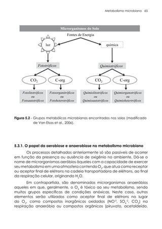 Metabolismo microbiano 65
Figura 5.2 - Grupos metabólicos microbianos encontrados nos solos (modificado
de Van Elsas et al., 2006).
Figura 5.2. Grupos metabólicos microbianos encontrados nos solos (modificado de Van Elsas).
luz química
Fontes de Energia
Fototróficos Quimiotróficos
CO2 C-org CO2 C-org
Fotolitotróficos
ou
Fotoautotróficos
Fotoorganitróficos
ou
Fotoheterotróficos
Quimiolitotróficos
ou
Quimioautotróficos
Quimiorganotróficos
ou
Quimiohetertróficos
Microrganismos do Solo
5.3.1. O papel da aerobiose e anaerobiose no metabolismo microbiano
Os processos detalhados anteriormente só são passiveis de ocorrer
em função da presença ou ausência de oxigênio no ambiente. Dá-se o
nome de microrganismos aeróbios àqueles com a capacidade de exercer
seu metabolismo em uma atmosfera contendo O2
, que atua como receptor
ou aceptor final de elétrons na cadeia transportadora de elétrons, ao final
da respiração celular, originando H2
O.
Em contrapartida, são denominados microrganismos anaeróbios
aqueles em que, geralmente, o O2
é tóxico ao seu metabolismo, sendo
muitos grupos específicos de condições anóxicas. Neste caso, outros
elementos serão utilizados como aceptor final de elétrons no lugar
do O2
, como compostos inorgânicos oxidados (NO-3
, SO4
-2
, CO2
) na
respiração anaeróbia ou compostos orgânicos (piruvato, acetaldeído,
 