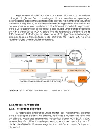 Metabolismo microbiano 69
Figura 5.4. Vias aeróbias do metabolismo microbiano no solo.
glicose 2 ácido pirúvico 2 acetil-CoA
GLICÓLISE 2 ATPs
CICLO
DE
KREBS
2 CO2
2 ATPs 4 CO2
2 NADH e 2ATPs 2 NADH 6 NADH, 2 FADH e 2 ATP
32 ATPs
36 ATPs
CADEIA TRANSPORTADORA DE ELÉTRONS
O2 H2O
Figura 5.4 - Vias aeróbias do metabolismo microbiano no solo.
A glicólise e ciclo de Krebs são os processos relacionados com a total
oxidação da glicose. Essa oxidação gera H+
para impulsionar a produção
de energia na cadeia transportadora de elétrons na membrana celular de
bactérias e arqueias e/ou nas mitocôndrias de organismos eucariotos. Na
cadeia transportadora de elétrons o H+
é transferido ao final do processo
para o O2
(aceptor final de elétrons), o que leva a uma grande produção
de ATP e geração de H2
O. O saldo final da respiração aeróbia é de 36
ATP através da fosforilação em nível do substrato (glicólise) e fosforilação
oxidava (cadeia transportadora de elétrons). Na Figura 5.4. há uma
representação do metabolismo aeróbio.
5.5.2. Processos Anaeróbios
5.5.2.1. Respiração anaeróbia
A respiração anaeróbia utiliza muitos dos mecanismos descritos
para a respiração aeróbia. No entanto, não utiliza o O2
como aceptor final
de elétrons. Aceptores alternativos inorgânicos como NO-3
, SO4
-2
, S, CO2
,
entre outros, são utilizados neste processo, que ocorrem em solos com Eh
abaixo de +300 mV até valores negativos, condição em que o O2
é pouco
disponível.
 