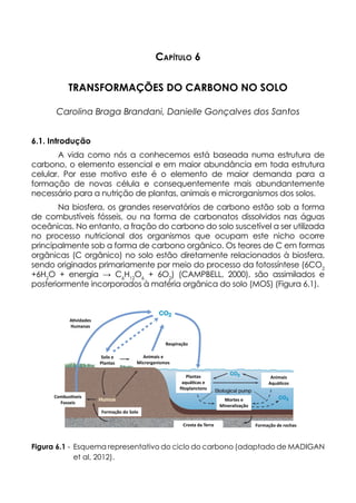 Capítulo 6
TRANSFORMAÇÕES DO CARBONO NO SOLO
Carolina Braga Brandani, Danielle Gonçalves dos Santos
6.1. Introdução
A vida como nós a conhecemos está baseada numa estrutura de
carbono, o elemento essencial e em maior abundância em toda estrutura
celular. Por esse motivo este é o elemento de maior demanda para a
formação de novas célula e consequentemente mais abundantemente
necessário para a nutrição de plantas, animais e microrganismos dos solos.
Na biosfera, os grandes reservatórios de carbono estão sob a forma
de combustíveis fósseis, ou na forma de carbonatos dissolvidos nas águas
oceânicas. No entanto, a fração do carbono do solo suscetível a ser utilizada
no processo nutricional dos organismos que ocupam este nicho ocorre
principalmente sob a forma de carbono orgânico. Os teores de C em formas
orgânicas (C orgânico) no solo estão diretamente relacionados à biosfera,
sendo originados primariamente por meio do processo da fotossíntese (6CO2
+6H2
O + energia → C6
H12
O6
+ 6O2
) (CAMPBELL, 2000), são assimilados e
posteriormente incorporados à matéria orgânica do solo (MOS) (Figura 6.1).
A�vidades
Humanas
Respiração
Animais e
Microrganismos
Solo e
Plantas
Combus�veis
Fosseis
Formação do Solo
Formação de rochas
Crosta da Terra
Plantas
aquá�cas e
ﬁtoplanctons
Animais
Aquá�cos
Mortes e
Mineralização
Figura 6.1 - Esquema representativo do ciclo do carbono (adaptado de MADIGAN
et al, 2012).
 