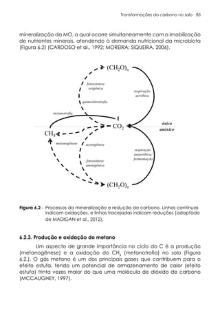 Transformações do carbono no solo 85
mineralização da MO, a qual ocorre simultaneamente com a imobilização
de nutrientes minerais, atendendo à demanda nutricional da microbiota
(Figura 6.2) (CARDOSO et al., 1992; MOREIRA; SIQUEIRA, 2006).
6.2.3. Produção e oxidação do metano
Um aspecto de grande importância no ciclo do C é a produção
(metanogênese) e a oxidação do CH4
(metanotrofia) no solo (Figura
6.2.). O gás metano é um dos principais gases que contribuem para o
efeito estufa, tendo um potencial de armazenamento de calor (efeito
estufa) trinta vezes maior do que uma molécula de dióxido de carbono
(MCCAUGHEY, 1997).
Figura 6.2 - Processos da mineralização e redução do carbono. Linhas contínuas
indicam oxidações, e linhas tracejadas indicam reduções (adaptado
de MADIGAN et al., 2012).
 