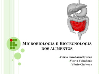 MICROBIOLOGIA E BIOTECNOLOGIA
DOS ALIMENTOS
oVibrio Parahaemolyticus
oVibrio Vulnificus
oVibrio Cholerae
 