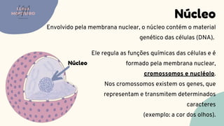 Núcleo
Envolvido pela membrana nuclear, o núcleo contém o material
genético das células (DNA).
LUMA
MONTEIRO
LM
O D O N T O L O G I A
Núcleo
Ele regula as funções químicas das células e é
formado pela membrana nuclear,
cromossomos e nucléolo.
Nos cromossomos existem os genes, que
representam e transmitem determinados
caracteres
(exemplo: a cor dos olhos).
 