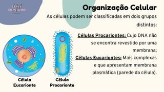 Organização Celular
As células podem ser classificadas em dois grupos
distintos:
LUMA
MONTEIRO
LM
O D O N T O L O G I A
Células Procariontes: Cujo DNA não
se encontra revestido por uma
membrana;
Células Eucariontes: Mais complexas
e que apresentam membrana
plasmática (parede da célula).
Célula
Eucarionte
Célula
Procarionte
 