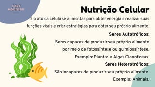 Seres Autotróficos:
Seres capazes de produzir seu próprio alimento
por meio de fotossíntese ou quimiossíntese.
Exemplo: Plantas e Algas Cianofíceas.
Seres Heterotróficos:
São incapazes de produzir seu próprio alimento.
Exemplo: Animais.
Nutrição Celular
É o ato da célula se alimentar para obter energia e realizar suas
funções vitais e criar estratégias para obter seu próprio alimento.
LUMA
MONTEIRO
LM
O D O N T O L O G I A
 