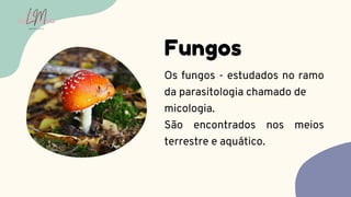 Os fungos - estudados no ramo
da parasitologia chamado de
micologia.
São encontrados nos meios
terrestre e aquático.
Fungos
LUMA
MONTEIRO
LM
O D O N T O L O G I A
 