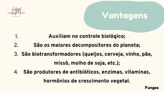 Auxiliam no controle biológico;
São os maiores decompositores do planeta;
São biotransformadores (queijos, cerveja, vinho, pão,
missô, molho de soja, etc.);
São produtores de antibióticos, enzimas, vitaminas,
hormônios de crescimento vegetal.
1.
2.
3.
4.
Vantagens
LUMA
MONTEIRO
LM
O D O N T O L O G I A
Fungos
 