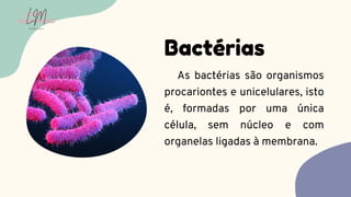 As bactérias são organismos
procariontes e unicelulares, isto
é, formadas por uma única
célula, sem núcleo e com
organelas ligadas à membrana.
Bactérias
LUMA
MONTEIRO
LM
O D O N T O L O G I A
 