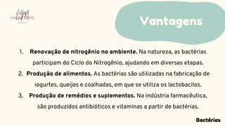 Renovação de nitrogênio no ambiente. Na natureza, as bactérias
participam do Ciclo do Nitrogênio, ajudando em diversas etapas.
Produção de alimentos. As bactérias são utilizadas na fabricação de
iogurtes, queijos e coalhadas, em que se utiliza os lactobacilos.
Produção de remédios e suplementos. Na indústria farmacêutica,
são produzidos antibióticos e vitaminas a partir de bactérias.
1.
2.
3.
Vantagens
LUMA
MONTEIRO
LM
O D O N T O L O G I A
Bactérias
 