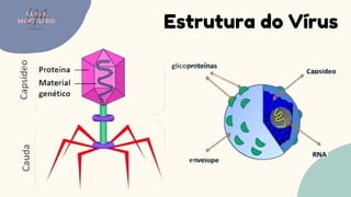 Estrutura do Vírus
LUMA
MONTEIRO
LM
O D O N T O L O G I A
 