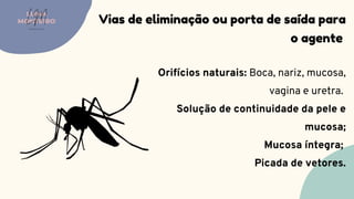 Orifícios naturais: Boca, nariz, mucosa,
vagina e uretra.
Solução de continuidade da pele e
mucosa;
Mucosa íntegra;
Picada de vetores.
Vias de eliminação ou porta de saída para
o agente
LUMA
MONTEIRO
LM
O D O N T O L O G I A
 