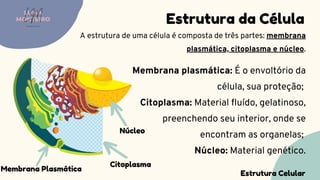 Membrana Plasmática
Membrana plasmática: É o envoltório da
célula, sua proteção;
Citoplasma: Material fluído, gelatinoso,
preenchendo seu interior, onde se
encontram as organelas;
Núcleo: Material genético.
Estrutura da Célula
A estrutura de uma célula é composta de três partes: membrana
plasmática, citoplasma e núcleo.
LUMA
MONTEIRO
LM
O D O N T O L O G I A
Estrutura Celular
Citoplasma
Núcleo
 
