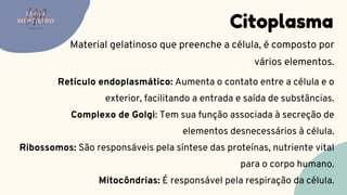 Citoplasma
Material gelatinoso que preenche a célula, é composto por
vários elementos.
LUMA
MONTEIRO
LM
O D O N T O L O G I A
Retículo endoplasmático: Aumenta o contato entre a célula e o
exterior, facilitando a entrada e saída de substâncias.
Complexo de Golgi: Tem sua função associada à secreção de
elementos desnecessários à célula.
Ribossomos: São responsáveis pela síntese das proteínas, nutriente vital
para o corpo humano.
Mitocôndrias: É responsável pela respiração da célula.
 