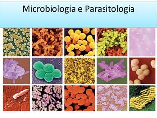 Microbiologia e Parasitologia
EnE
 