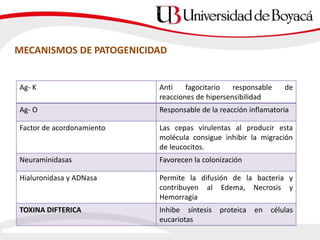 MECANISMOS DE PATOGENICIDAD
Ag- K Anti fagocitario responsable de
reacciones de hipersensibilidad
Ag- O Responsable de la reacción inflamatoria
Factor de acordonamiento Las cepas virulentas al producir esta
molécula consigue inhibir la migración
de leucocitos.
Neuraminidasas Favorecen la colonización
Hialuronidasa y ADNasa Permite la difusión de la bacteria y
contribuyen al Edema, Necrosis y
Hemorragia
TOXINA DIFTERICA Inhibe síntesis proteica en células
eucariotas
 