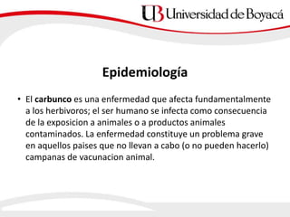 • El carbunco es una enfermedad que afecta fundamentalmente
a los herbivoros; el ser humano se infecta como consecuencia
de la exposicion a animales o a productos animales
contaminados. La enfermedad constituye un problema grave
en aquellos paises que no llevan a cabo (o no pueden hacerlo)
campanas de vacunacion animal.
Epidemiología
 