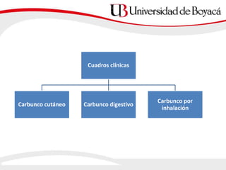Cuadros clínicas
Carbunco cutáneo Carbunco digestivo
Carbunco por
inhalación
 