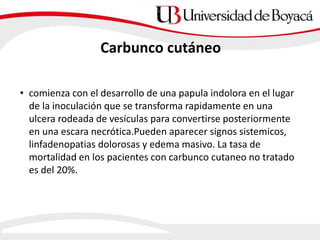 Carbunco cutáneo
• comienza con el desarrollo de una papula indolora en el lugar
de la inoculación que se transforma rapidamente en una
ulcera rodeada de vesículas para convertirse posteriormente
en una escara necrótica.Pueden aparecer signos sistemicos,
linfadenopatias dolorosas y edema masivo. La tasa de
mortalidad en los pacientes con carbunco cutaneo no tratado
es del 20%.
 