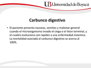 Carbunco digestivo
• El paciente presenta nauseas, vomitos y malestar general
cuando el microorganismo invade el ciego o el ileon terminal, y
el cuadro evoluciona con rapidez a una enfermedad sistemica.
La mortalidad asociada al carbunco digestivo se acerca al
100%.
 