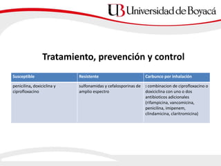Susceptible Resistente Carbunco por inhalación
penicilina, doxiciclina y
ciprofloxacino
sulfonamidas y cefalosporinas de
amplio espectro
: combinacion de ciprofloxacino o
doxiciclina con uno o dos
antibioticos adicionales
(rifampicina, vancomicina,
penicilina, imipenem,
clindamicina, claritromicina)
Tratamiento, prevención y control
 