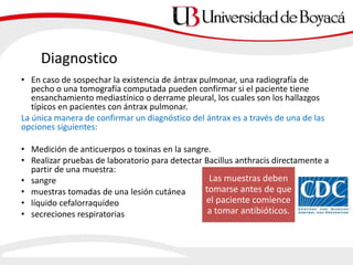 Diagnostico
• En caso de sospechar la existencia de ántrax pulmonar, una radiografía de
pecho o una tomografía computada pueden confirmar si el paciente tiene
ensanchamiento mediastínico o derrame pleural, los cuales son los hallazgos
típicos en pacientes con ántrax pulmonar.
La única manera de confirmar un diagnóstico del ántrax es a través de una de las
opciones siguientes:
• Medición de anticuerpos o toxinas en la sangre.
• Realizar pruebas de laboratorio para detectar Bacillus anthracis directamente a
partir de una muestra:
• sangre
• muestras tomadas de una lesión cutánea
• líquido cefalorraquídeo
• secreciones respiratorias
Las muestras deben
tomarse antes de que
el paciente comience
a tomar antibióticos.
 
