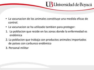 • La vacunacion de los animales constituye una medida eficaz de
control.
• La vacunacion se ha utilizado tambien para proteger:
1. La poblacion que reside en las zonas donde la enfermedad es
endémica
2. La poblacion que trabaja con productos animales importados
de paises con carbunco endémico
3. Personal militar
 