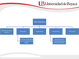 1.Otras infecciones
Infecciones de los
cateteres
Meningitis
en pacientes afectados
por inmunodepresion
grave
Bacteriemia Endocarditis
mas frecuente en
drogodependientes
por via parenteral
Neumonitis
 