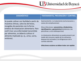 DIAGNÓSTICO TRATAMIENTO, PREVENCIÓN Y CONTROL
Se puede cultivar con facilidad a partir de
muestras clinicas, salvo las de heces,
recogidas de pacientes con la forma
emética de intoxicacion alimentaria. Para
confi rmar una enfermedad transmitida
por alimentos, se deberia cultivar el
alimento implicado (p. ej., arroz, carne,
verduras).
Gastroenteritis: no tratamiento (corta duracion y
carece de complicaciones)
Otras infecciones: vancomicina, clindamicina,
ciprofloxacino y gentamicina (resistencia a las
penicilinas y a las cefalosporinas)
La intoxicacion alimentaria se puede prevenir por
medio del consumo rapido de los alimentos
despues de cocinados y la refrigeracion de la
comida sobrante
Infecciones oculares se deben tratar con rapidez
 