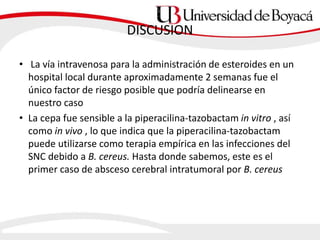 DISCUSION
• La vía intravenosa para la administración de esteroides en un
hospital local durante aproximadamente 2 semanas fue el
único factor de riesgo posible que podría delinearse en
nuestro caso
• La cepa fue sensible a la piperacilina-tazobactam in vitro , así
como in vivo , lo que indica que la piperacilina-tazobactam
puede utilizarse como terapia empírica en las infecciones del
SNC debido a B. cereus. Hasta donde sabemos, este es el
primer caso de absceso cerebral intratumoral por B. cereus
 