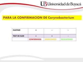 CULTIVO + - -
TEST DE ELEK + + -
CONFIRMADO SOSPECHOSO DESCARTADO
PARA LA CONFIRMACION DE Corynebacterium
 