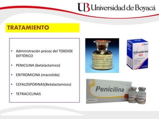 TRATAMIENTO
• Administración precoz del TOXOIDE
DIFTÉRICO
• PENICILINA (betalactamico)
• ERITROMICINA (macrolido)
• CEFALOSPORINAS(Betalactamicos)
• TETRACICLINAS
 