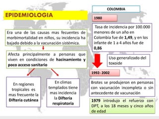 EPIDEMIOLOGIA
Afecta principalmente a personas que
viven en condiciones de hacinamiento y
poco acceso sanitario
Era una de las causas mas fecuentes de
morbimortalidad en niños, su incidencia ha
bajado debido a la vacunación sistémica.
En regiones
tropicales es
mas frecuente la
Difteria cutánea
En climas
templados tiene
mas incidencia
la Difteria
respiratoria
COLOMBIA
Tasa de incidencia por 100.000
menores de un año en
Colombia fue de 1,49, y en los
infante de 1 a 4 años fue de
0,86
1980
Uso generalizado del
toxoide
1992- 2002
Brotes se produjeron en personas
con vacunación incompleta o sin
antecedente de vacunación
1979 introdujo el refuerzo con
DPT, a los 18 meses y cinco años
de edad
 