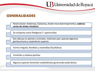 Pared celular: Arabinosa, Galactosa, Acido meso diaminopimelico, cadenas
cortas de ácidos micolicos
Se comporta como Patógenas Y oportunistas
Son ubicuas en plantas y animales. Colonizan piel, aparato digestivo
genitourinario y respiratorio superior,
Forma irregular, Aerobias y anaerobias facultativas
Inmóviles y catalasa positiva
Algunas especies fementan carbohidratos generando acido láctico
GENERALIDADES
 