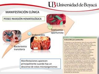Bacteriemia
transitoria
Endocarditis
Septicemia
oportunista
POSEE INVASIÓN HEMATOLÓGICA
MANIFESTACIÓN CLÍNICA
Manifestaciones aparecen
principalmente cuando hay un
descenso de estos microorganismos
 