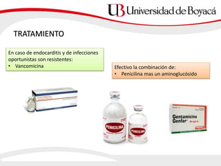 TRATAMIENTO
En caso de endocarditis y de infecciones
oportunistas son resistentes:
• Vancomicina Efectivo la combinación de:
• Penicilina mas un aminoglucósido
 