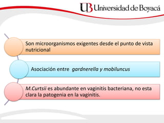 Son microorganismos exigentes desde el punto de vista
nutricional
Asociación entre gardnerella y mobiluncus
M.Curtsii es abundante en vaginitis bacteriana, no esta
clara la patogenia en la vaginitis.
 