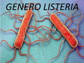 GENERO LISTERIA
 