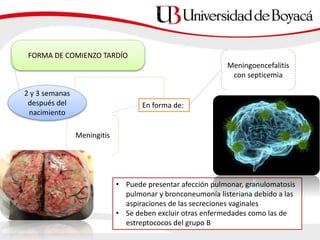 FORMA DE COMIENZO TARDÍO
2 y 3 semanas
después del
nacimiento
En forma de:
Meningitis
Meningoencefalitis
con septicemia
• Puede presentar afección pulmonar, granulomatosis
pulmonar y bronconeumonía listeriana debido a las
aspiraciones de las secreciones vaginales
• Se deben excluir otras enfermedades como las de
estreptococos del grupo B
 