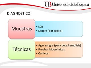 • LCR
• Sangre (por sepsis)Muestras
• Agar sangre (para beta hemolisis)
• Pruebas bioquímicas
• Cultivos
Técnicas
DIAGNOSTICO
 