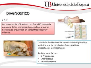 DIAGNOSTICO
Las muestras de LCR tenidas con Gram NO revelan la
presencia de los microorganismos debido a que las
bacterias se encuentran en concentraciones muy
mínimas.
LCR
Cuando la tinción de Gram muestra microorganismos
suele tratarse de cocobacilos Gram positivos
intracelulares y extracelulares
Se debe hace DX con:
• S. Pneumoniae
• Enterococcus
• corynebacterium
 