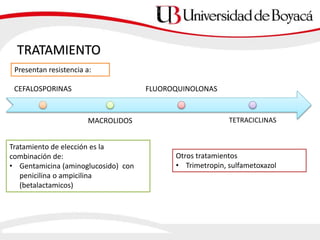TRATAMIENTO
CEFALOSPORINAS
MACROLIDOS
FLUOROQUINOLONAS
TETRACICLINAS
Presentan resistencia a:
Tratamiento de elección es la
combinación de:
• Gentamicina (aminoglucosido) con
penicilina o ampicilina
(betalactamicos)
Otros tratamientos
• Trimetropin, sulfametoxazol
 