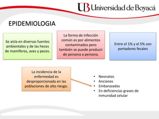 EPIDEMIOLOGIA
Se aísla en diversas fuentes
ambientales y de las heces
de mamíferos, aves y peces.
La forma de infección
común es por alimentos
contaminados pero
también se puede producir
de persona a persona.
Entre el 1% y el 5% son
portadores fecales
La incidencia de la
enfermedad es
desproporcionada en las
poblaciones de alto riesgo.
• Neonatos
• Ancianos
• Embarazadas
• En deficiencias graves de
inmunidad celular
 