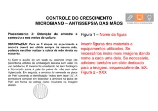 CONTROLE DO CRESCIMENTO
MICROBIANO – ANTISSEPSIA DAS MÃOS
Procedimento 2: Obtenção da amostra e
semeadura nos meios de cultura
OBSERVAÇÃO: Para as 3 etapas do experimento a
amostra deverá ser obtida sempre da mesma mão,
podendo escolher realizar a coleta da mão direita ou
esquerda.
A) Com o auxílio de um swab ou cotonete limpo (de
preferência obtidos de embalagem lacrada sem estar no
uso cotidiano). O mesmo foi umedecido no soro fisiológico
e friccionado sobre a pele da palma da mão sem estar
higienizada. Em seguida, a amostra foi semeada na placa
de Petri contendo a identificação “mãos sem lavar (1)”; A
semeadura consiste em depositar a amostra na placa de
Petri em forma de estrias como mostrado na imagem
abaixo.
Figura 1 – Nome da figura
Inserir figuras dos materiais e
equipamentos utilizados. Se
necessários insira mais imagens dando
nome a cada uma dela. Se necessário,
adicione também um slide dedicado
para a imagem. sequencialmente. EX:
Figura 2 - XXX
 