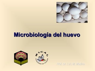 Microbiología del huevo

Prof. Dr. Luis M. Medina

 