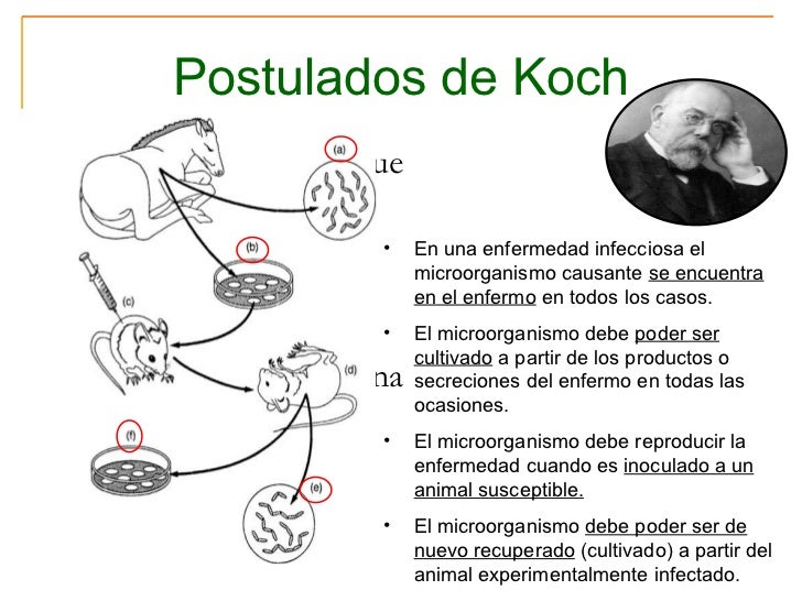 POSTULADOS DE KOCH MICROBIOLOGIA PDF