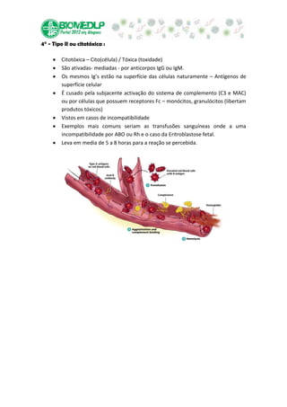4° - Tipo II ou citotóxica :

        Citotóxica – Cito(célula) / Tóxica (toxidade)
        São ativadas- mediadas - por anticorpos IgG ou IgM.
        Os mesmos Ig’s estão na superfície das células naturamente – Antígenos de
        superfície celular
        É cusado pela subjacente activação do sistema de complemento (C3 e MAC)
        ou por células que possuem receptores Fc – monócitos, granulócitos (libertam
        produtos tóxicos)
        Vistos em casos de incompatibilidade
        Exemplos mais comuns seriam as transfusões sanguíneas onde a uma
        incompatibilidade por ABO ou Rh e o caso da Eritroblastose fetal.
        Leva em media de 5 a 8 horas para a reação se percebida.
 
