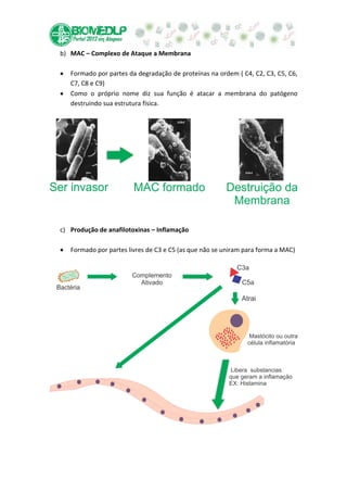 b) MAC – Complexo de Ataque a Membrana

   Formado por partes da degradação de proteínas na ordem ( C4, C2, C3, C5, C6,
   C7, C8 e C9)
   Como o próprio nome diz sua função é atacar a membrana do patógeno
   destruindo sua estrutura física.




c) Produção de anafilotoxinas – Inflamação

   Formado por partes livres de C3 e C5 (as que não se uniram para forma a MAC)
 
