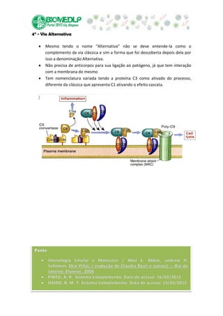 4° - Via Alternativa

      Mesmo tendo o nome “Alternativa” não se deve entende-la como o
      complemento da via clássica e sim a forma que foi descoberta depois dela por
      isso a denominação Alternativa.
      Não precisa de anticorpos para sua ligação ao patógeno, já que tem interação
      com a membrana do mesmo
      Tem nomenclatura variada tendo a proteína C3 como ativado do processo,
      diferente da clássica que apresenta C1 ativando o efeito cascata.
 