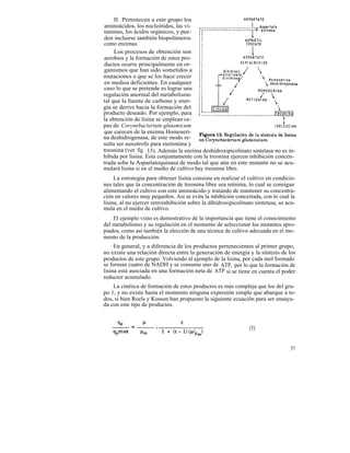 II. Pertenecen a este grupo los
aminoácidos, los nucleótidos, las vi-
taminas, los ácidos orgánicos, y pue-
den incluirse también biopolímeros
como enzimas.
     Los procesos de obtención son
aerobios y la formación de estos pro-
ductos ocurre principalmente en or-
ganismos que han sido sometidos a
mutaciones o que se los hace crecer
en medios deficientes. En cualquier
caso lo que se pretende es lograr una
regulación anormal del metabolismo
tal que la fuente de carbono y ener-
gía se derive hacia la formación del
producto deseado. Por ejemplo, para
la obtención de lisina se emplean ce-
pas de Corynebacteriuin glutamicum
que carecen de la enzima Homoseri-
na deshidrogenasa, de este modo re-
sulta ser auxotrofo para metionina y
treonina (ver fig. 13). Además la enzima deshidroxipicolinato sintetasa no es in-
hibida por lisina. Esta conjuntamente con la treonina ejercen inhibición concen-
trada sobe la Aspartatoquinasa de modo tal que aún en este mutante no se acu-
mulará lisina si en el medio de cultivo hay treonina libre.
     La estrategia para obtener lisina consiste en realizar el cultivo en condicio-
nes tales que la concentración de treonina libre sea mínima, lo cual se consigue
alimentando el cultivo con este aminoácido y tratando de mantener su concentra-
ción en valores muy pequeños. Así se evita la inhibición concertada, con lo cual la
lisina, al no ejercer retroinhibición sobre la dihidroxipicolinato sintetasa, se acu-
mula en el medio de cultivo.
    El ejemplo visto es demostrativo de la importancia que tiene el conocimiento
del metabolismo y su regulación en el momento de seleccionar los mutantes apro-
piados, como así también la elección de una técnica de cultivo adecuada en el mo-
mento de la producción.
     En general, y a diferencia de los productos pertenecientes al primer grupo,
no existe una relación directa entre la generación de energía y la síntesis de los
productos de este grupo. Volviendo al ejemplo de la lisina, por cada mol formado
se forman cuatro de NADH y se consume uno de ATP, por lo que la formación de
lisina está asociada en una formación neta de ATP si se tiene en cuenta el poder
reductor acumulado.
    La cinética de formación de estos productos es más compleja que los del gru-
po 1, y no existe hasta el momento ninguna expresión simple que abarque a to-
dos, si bien Roels y Kossen han propuesto la siguiente ecuación para ser ensaya-
da con este tipo de productos.



                                                                (5)


                                                                                  57
 