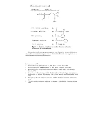 Los productos de este grupo comparten con el anterior la necesidad de un
adecuado suministro de oxígeno para su formación. Cuando este requisito no es
satisfecho los rendimientos disminuyen.




Lecturas recomendadas:
1.  Primary Products of Metabolism. Ed. A.H. Rose. Academi Press, 1978.
2. Secondary Products of Metabolism. Ed. A.H. Rose. Academic Press, 1979.
3.   Biotechnology Vol. 1. Microbial Fundamentals. Ed. H.J.Reh m and G. Reed. Verlagh-
     Chemie, 1981.
4.   Comprehensive Biotechnology, Vol. 1. The Principles of Biotechnology: Scientific Fun-
     damentals. Ed. Murray Moo-Young, Alan T. Bull, Howard Dalton. Pergamon Press
     1985.
5.   Principles of Microbe and Cell Cultivation. S.J.Pirt. Blackwell Scientific Publications,
     1975.
6.   Principios de Microbiologia Indultrial. A. Rhodes y D.L.Fletcher. Editorial Acribia,
     1969.
 